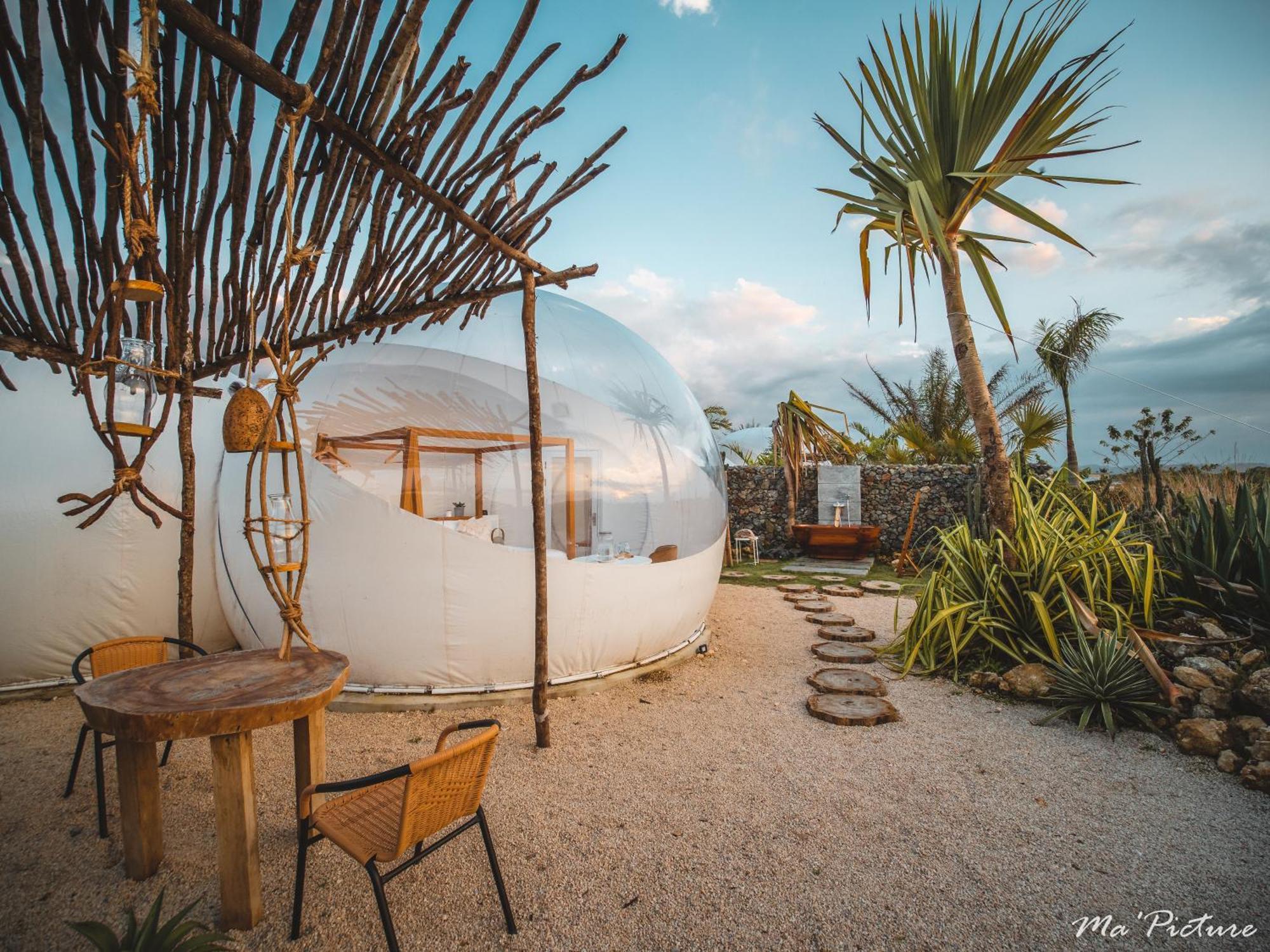 Green Land Bubble Glamping By Mint Cabarete Quarto foto